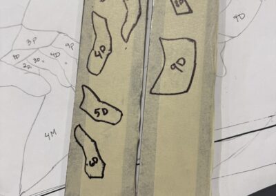 Cut lines for ring saw